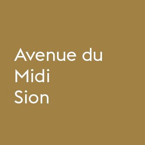 Aménagement urbain pour l'Avenue du Midi, en collaboration avec la Ville de Sion
