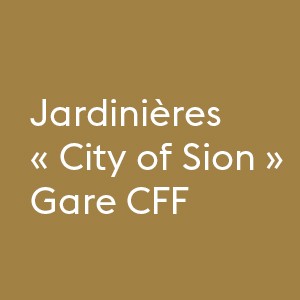 Jardinières 'City of Sion' dans le prolongement du Campus Energypolis, Gare CFF Sion